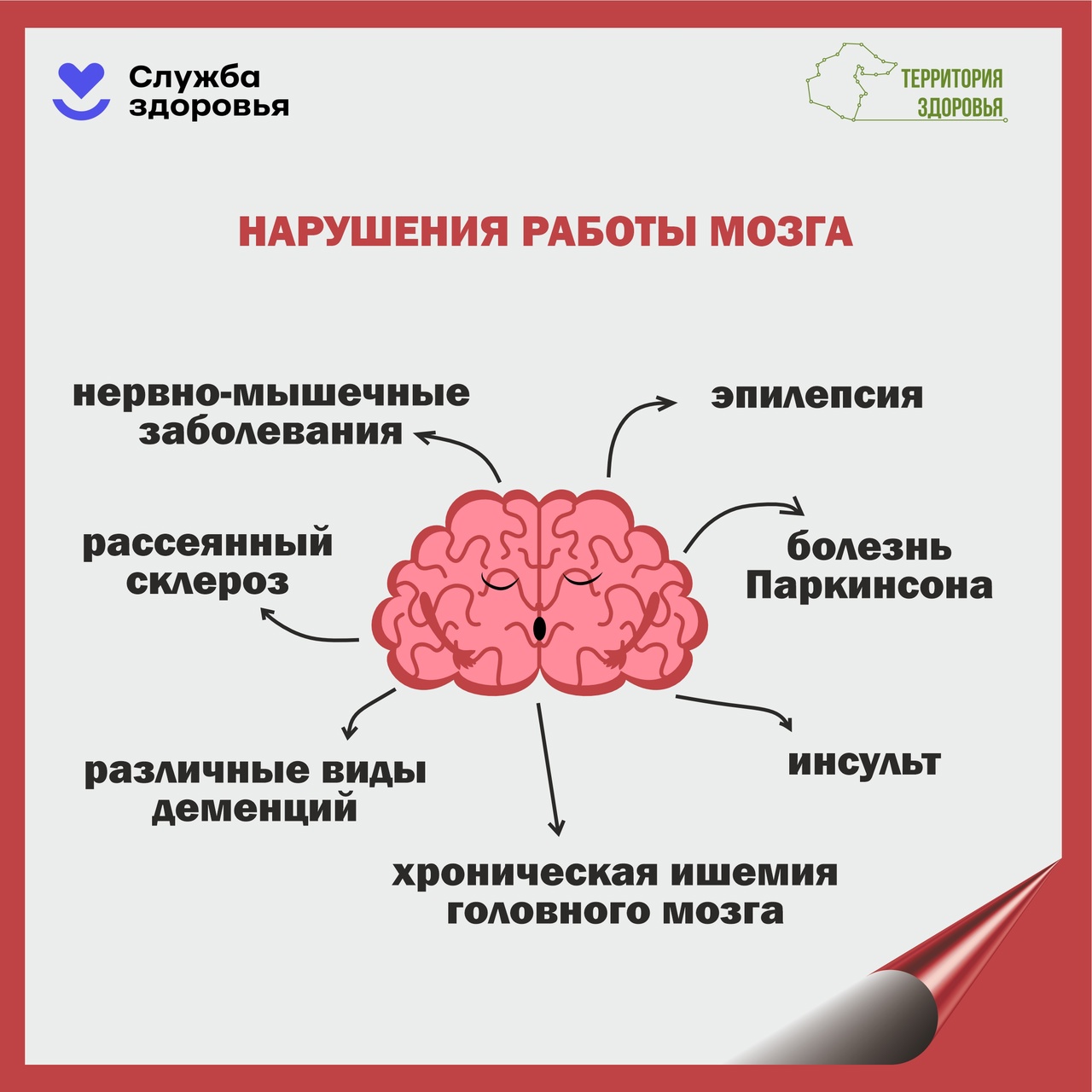 Заботиться о здоровье мозга нужно не меньше, чем о физической форме