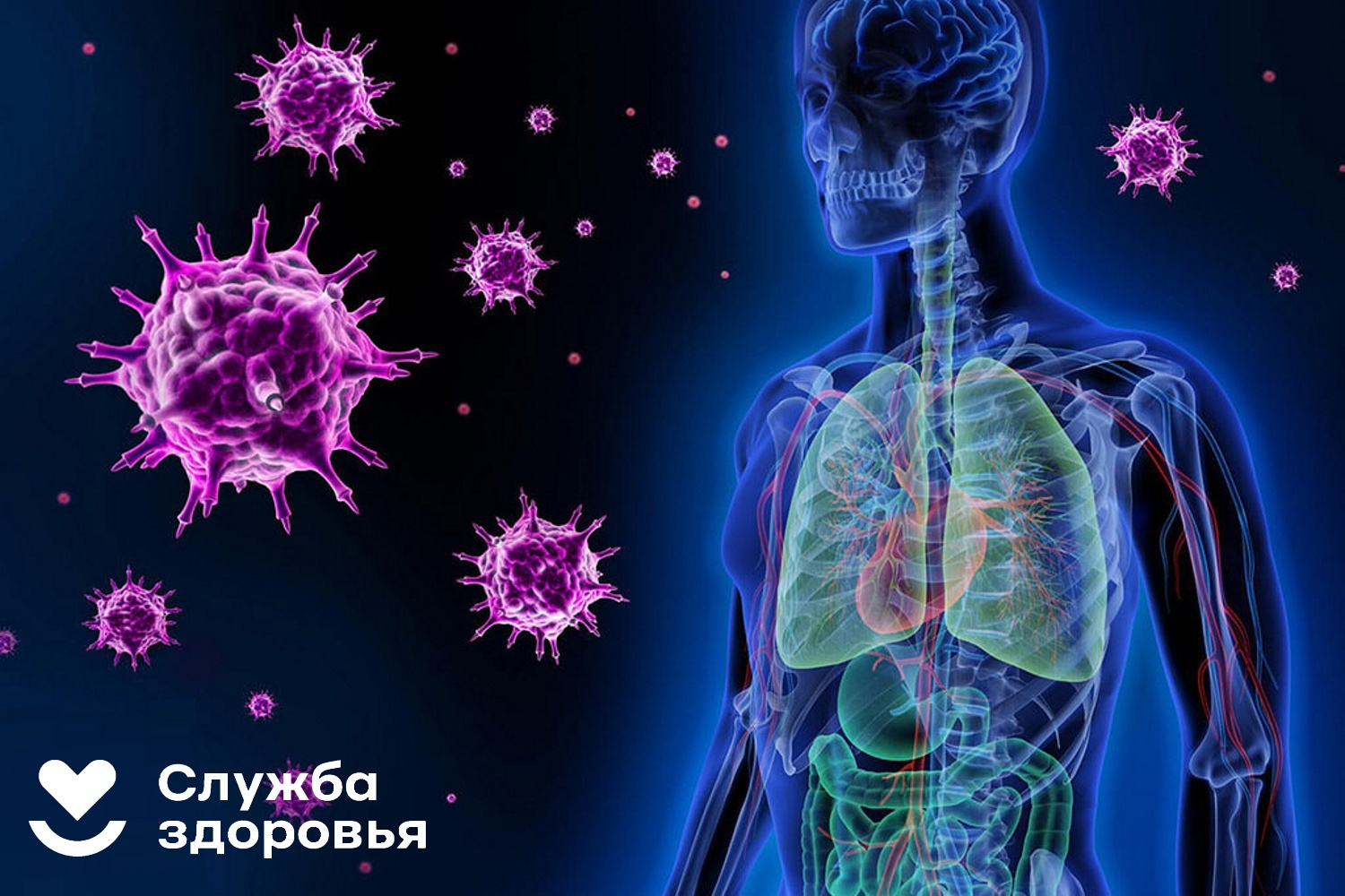 Иммунная система это. Stefan Lanka viruses. Misinterpretation virus by Dr. Stefan Lanka.