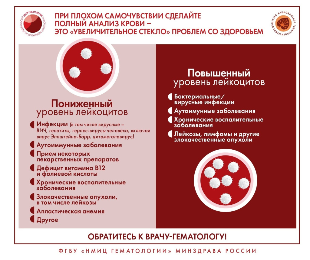 Заболевания системы крови - Городская поликлиника №17