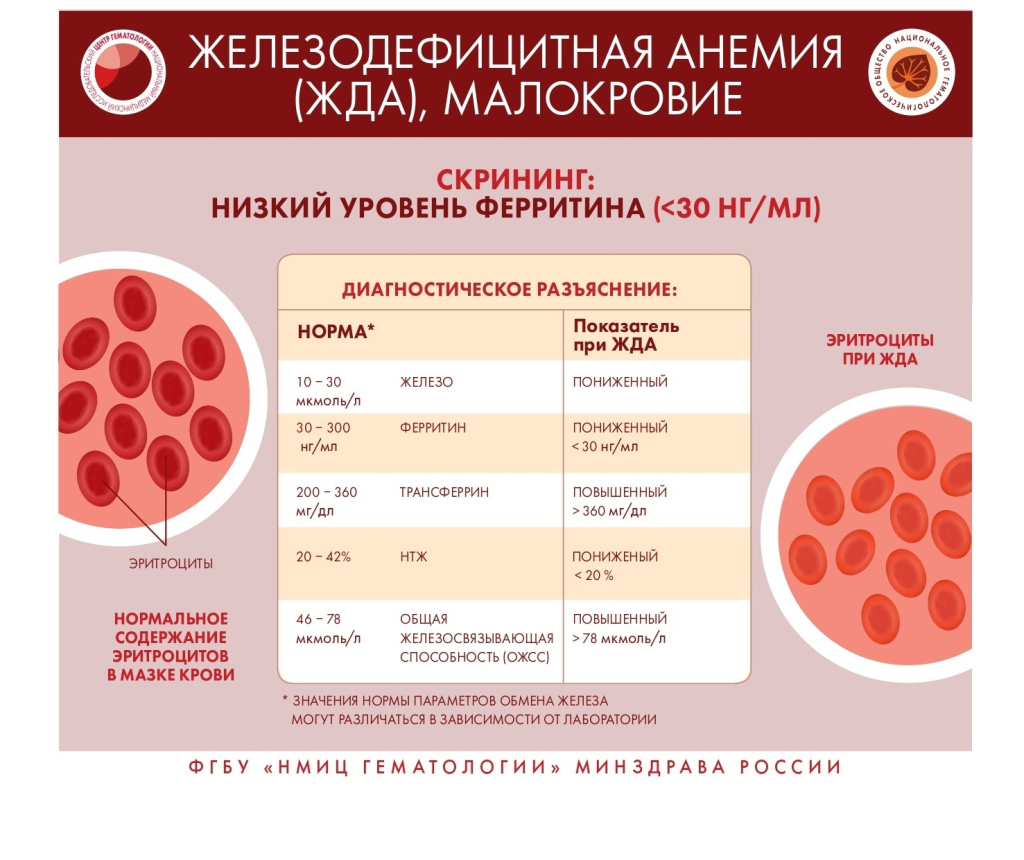 Истинная полицитемия — Википедия